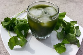 Trị sẹo mụn bằng rau má